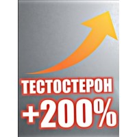 Тестостероны Тестостероны