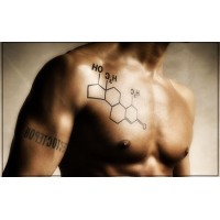 Какие бывают тестостероны? Какие бывают тестостероны?