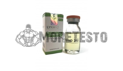 Купить NAND 250 (LYKA) по выгодной цене