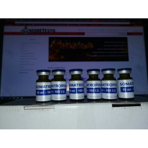 КУПИТЬ НОРДЕКС