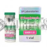 Купить гонадотропин СпЛабс