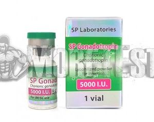 Купить гонадотропин СпЛабс