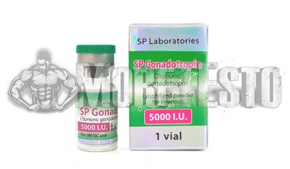 Купить гонадотропин СпЛабс