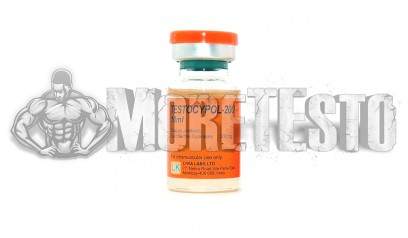 Купить TESTOCYPOL (тестостерон ципионат) Lyka Labs