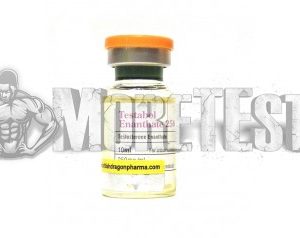 Купить Testabol Enanthate (тестостерон энантат) BD