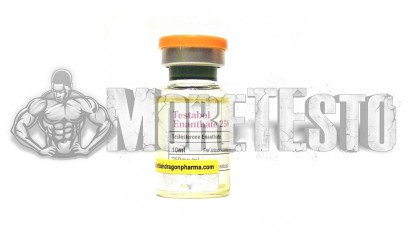 Купить Testabol Enanthate (тестостерон энантат) BD