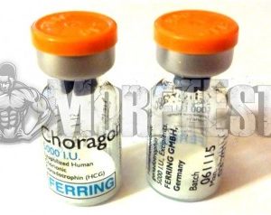 Купить CHORAGON (Гонадотропин)