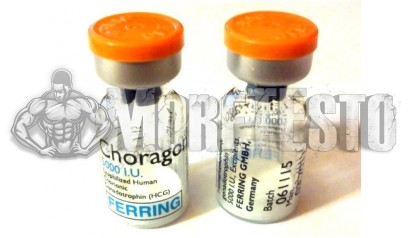 Купить CHORAGON (Гонадотропин)