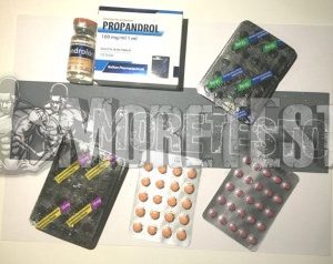 Купить Курс стероидов для новичка