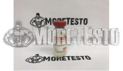 Купить Methandienone (ERGO medical company ) в таблетках по низкой цене