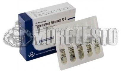 Купить Testosterone Enanthate 10ml (тестостерон Эн) от Aburaihan